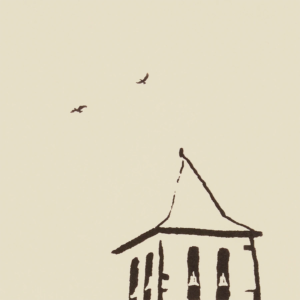 closeup of birds flying past iglesia san salvador Spain